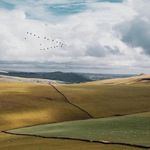 Daniel Huebner - @tanahans558 - Instagram