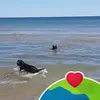 danahuempfner - @danahuempfner - TikTok