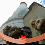 Daniel Huet - @daniel_huet - Instagram