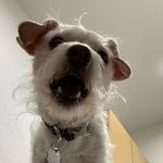 Daniel Huezo - @also._.danny - Instagram