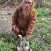 Daniel Huffstuttler - @danielhuffstuttler - TikTok