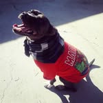 Daniel Huitron - @daniel.huitron7 - Instagram
