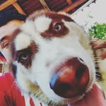 Daniel Huitzil - @daniel_hhm - Instagram