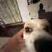 Daniel Huitzil - Facebook