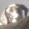 Daniel Hulse - @daniel.hulse4 - TikTok