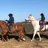 Danielhulse86 - @danielh_86 - TikTok
