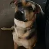 Daniel Hundley486 - @danielhundley486 - TikTok