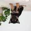 danielhundley543 - @danielhundley543 - TikTok