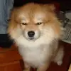Daniel Hung - @daniel.hung0 - TikTok