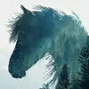 Danielle Hunsaker - @danielle.hunsaker - TikTok