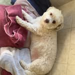 daniel - @daniel.hunt77 - Instagram