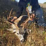 @daniel_hunting_fishing - Instagram