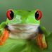 Daniel Bethell-Huntley - Facebook