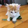 Daniel Huntley - @daniel.huntley - TikTok