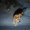 Daniel Huntley - @daniel.huntley91 - TikTok