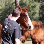 @daniel_hurd - Instagram