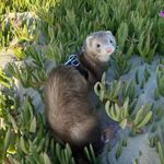 Ruffus Daniel - @ruffusdaniel_huron - Instagram