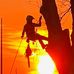 Daniel Hurst - Facebook