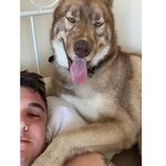 Daniel Hurst - @daniel.r.hurst - Instagram