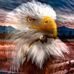 Danny Hussey - Facebook