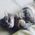 Wyatt Daniel Hussey - @attwyatt - Instagram