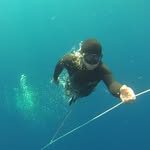 Daniel Hust - @freediverdan - Instagram
