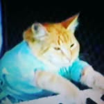 Daniel Huston - @dantheman._.654 - Instagram