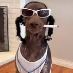 Daniėl Huthwaite - @mister.oelala84 - Instagram
