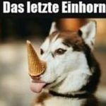 Daniel Hüttner - @huette1990 - Instagram