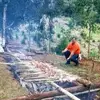 Daniel Hibiak - @danielhibiak - TikTok