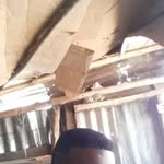 Daniel Hyppolite - @hyppolite5647 - Instagram