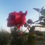Daniel Iacob - @daniel.iacob.393 - Instagram