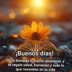 Daniel Iacono - @daniiacono64 - Instagram