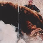 daniel ianiro - @dannyianiro - Instagram