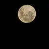 daniel - @daniel.ibanezz - TikTok