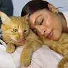 daniela_ibanez - @daniela_ibanez - TikTok