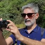 Daniel Iezzi - @daniezzi - Instagram