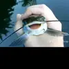 Daniel ignatowicz - @daniel.ignatowicz - TikTok