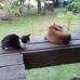 Daniel Igo - Facebook