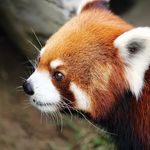 Daniel - @daniel.ig.outerspace - Instagram