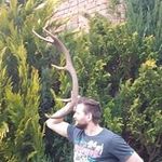 Dániel Ihász - @ihasz_dani - Instagram