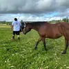 danielikeda808 - @danielikeda808 - TikTok