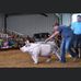 Daniel Illg - Facebook