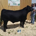 Daniel Illg - @illgfarms - Instagram