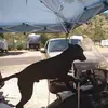 danielillig - @daniel.illig - TikTok