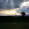daniela.imfeld07 - @daniela.imfeld07 - TikTok