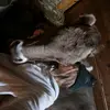 Daniela.imfeld - @daniela.imfeld - TikTok