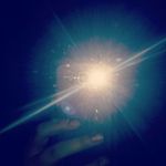 daniel ingham - @ingham6161 - Instagram