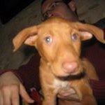 Daniel Inglês - @daniel_ingles - Instagram