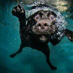 Daniel Ingle - @dj31877 - Instagram